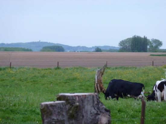 vue sur la campagne